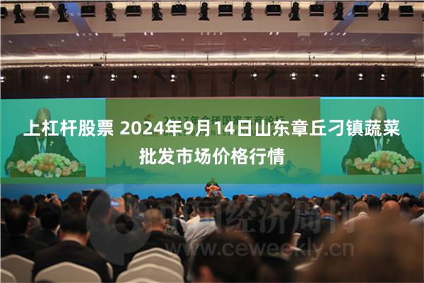 上杠杆股票 2024年9月14日山东章丘刁镇蔬菜批发市场价格行情