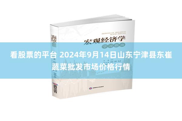 看股票的平台 2024年9月14日山东宁津县东崔蔬菜批发市场价格行情