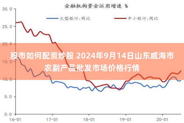 股市如何配资炒股 2024年9月14日山东威海市农副产品批发市场价格行情