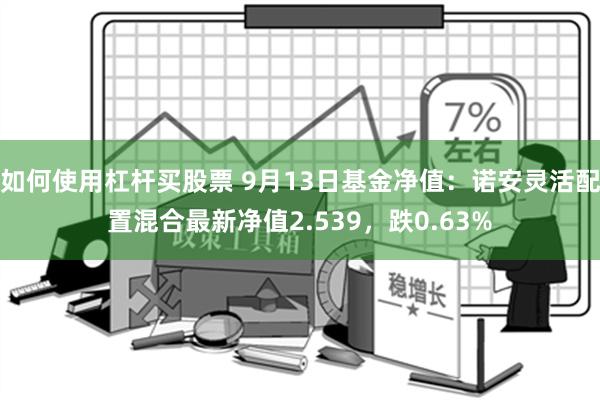 如何使用杠杆买股票 9月13日基金净值：诺安灵活配置混合最新净值2.539，跌0.63%