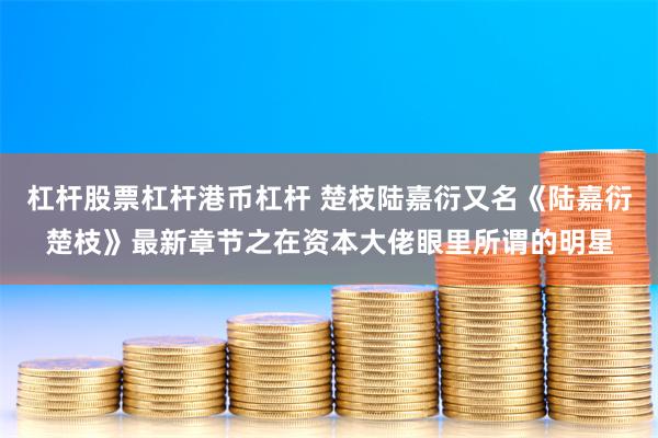 杠杆股票杠杆港币杠杆 楚枝陆嘉衍又名《陆嘉衍楚枝》最新章节之在资本大佬眼里所谓的明星