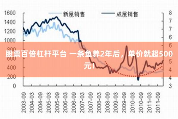 股票百倍杠杆平台 一条鱼养2年后，单价就超500元！