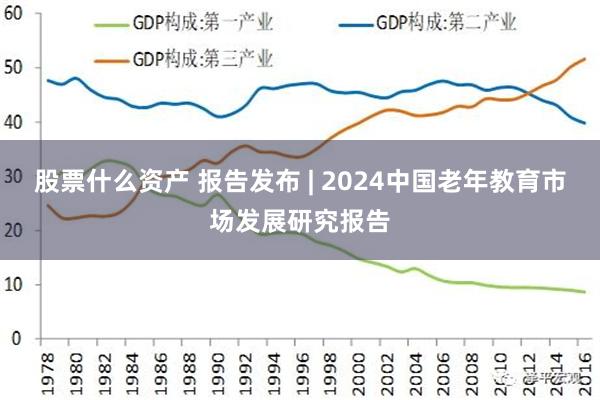 股票什么资产 报告发布 | 2024中国老年教育市场发展研究报告