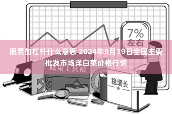 股票加杠杆什么意思 2024年9月19日全国主要批发市场洋白菜价格行情