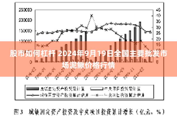 股市如何杠杆 2024年9月19日全国主要批发市场泥鳅价格行情