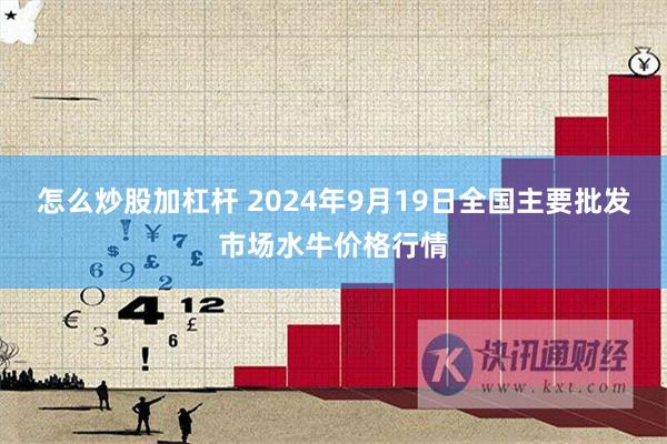 怎么炒股加杠杆 2024年9月19日全国主要批发市场水牛价格行情