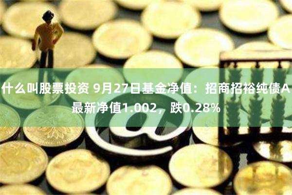 什么叫股票投资 9月27日基金净值：招商招裕纯债A最新净值1.002，跌0.28%