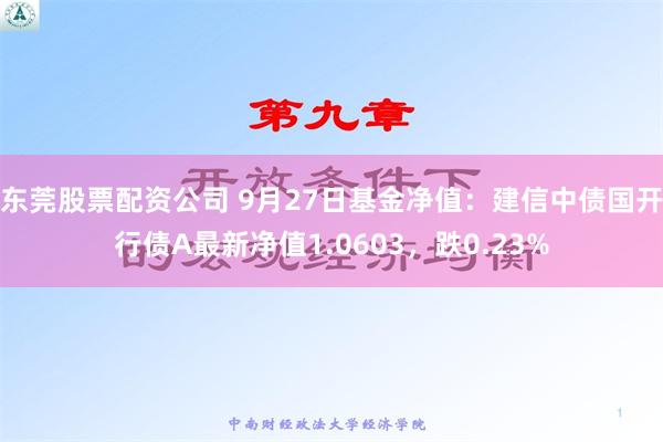 东莞股票配资公司 9月27日基金净值：建信中债国开行债A最新净值1.0603，跌0.23%