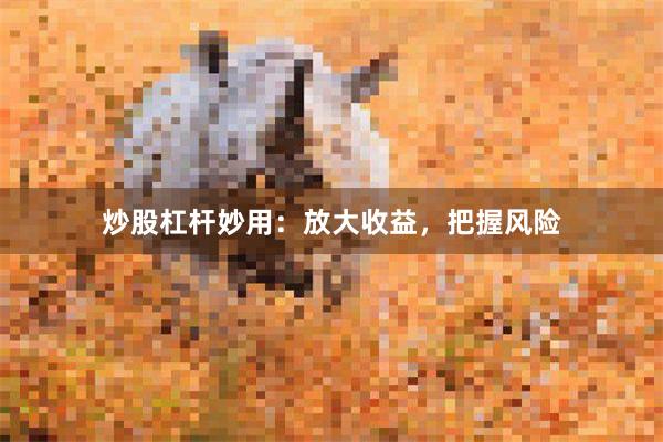 炒股杠杆妙用：放大收益，把握风险