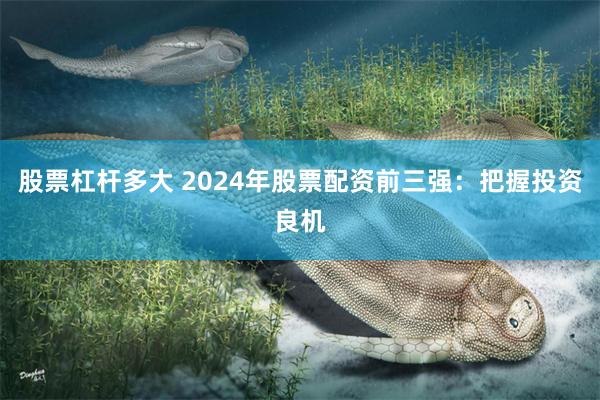 股票杠杆多大 2024年股票配资前三强：把握投资良机