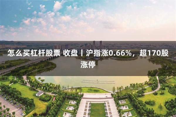 怎么买杠杆股票 收盘丨沪指涨0.66%，超170股涨停