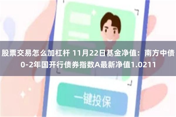 股票交易怎么加杠杆 11月22日基金净值：南方中债0-2年国开行债券指数A最新净值1.0211