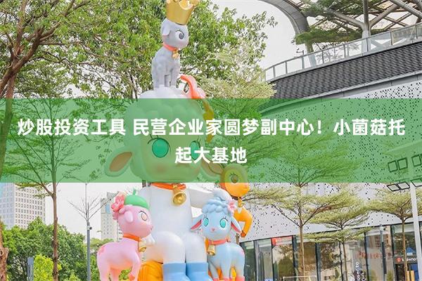 炒股投资工具 民营企业家圆梦副中心！小菌菇托起大基地